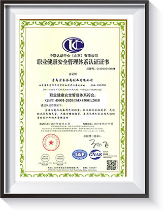 职业健全安全治理系统认证证书